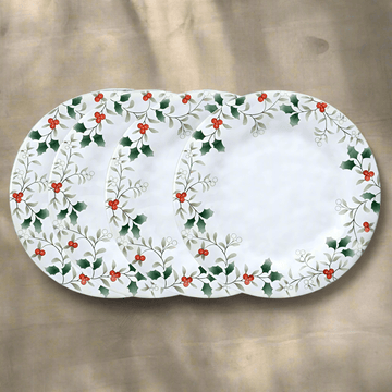 Winterberry® Set of 4 Melamine Dinner Plates